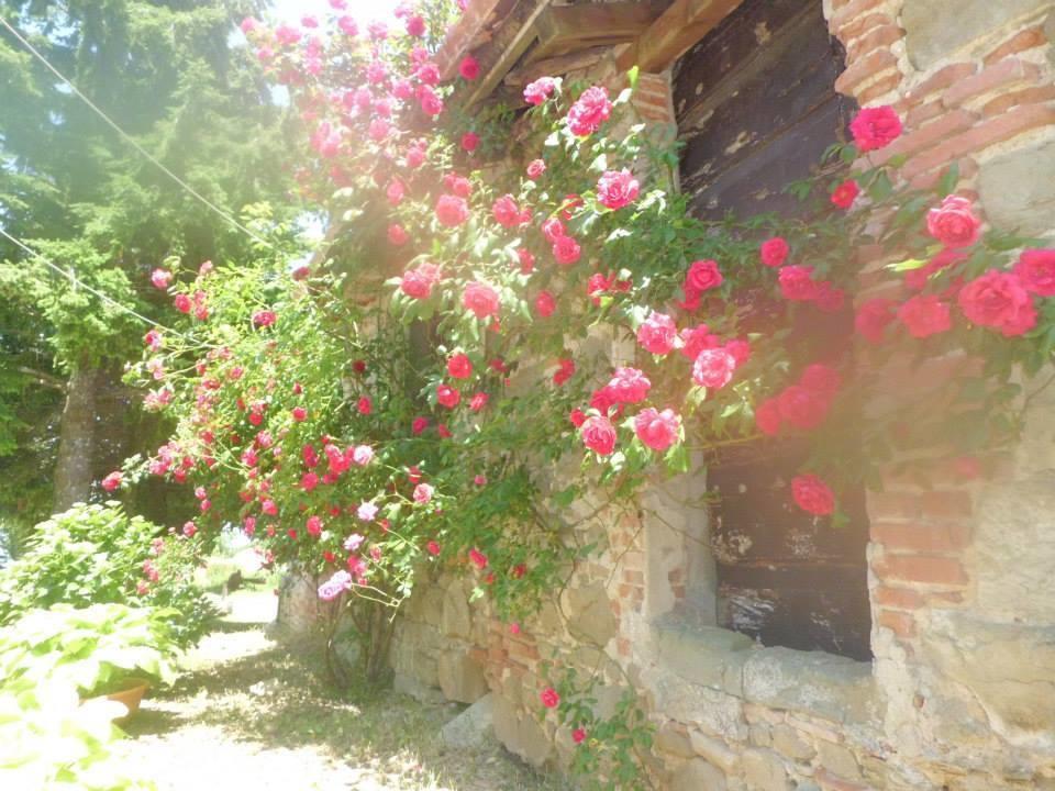 Bottega Di Montegiovi Scopeti Exterior foto